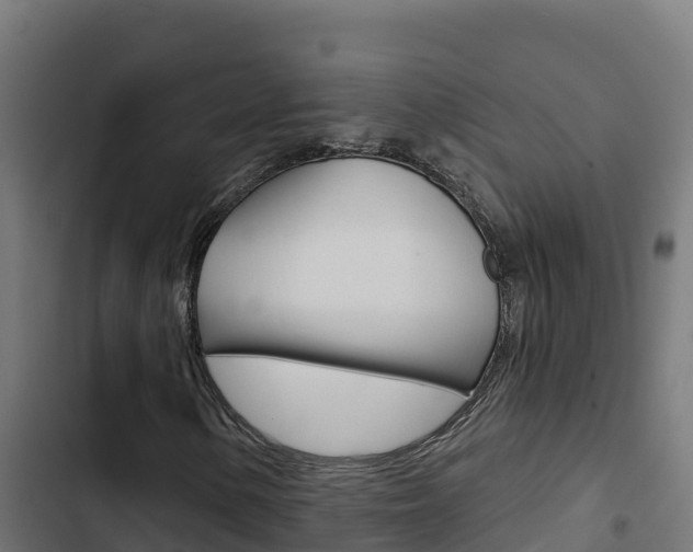 X0000103441154200809121054