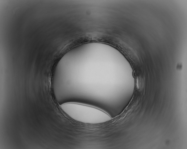 X0000103441155200809121054