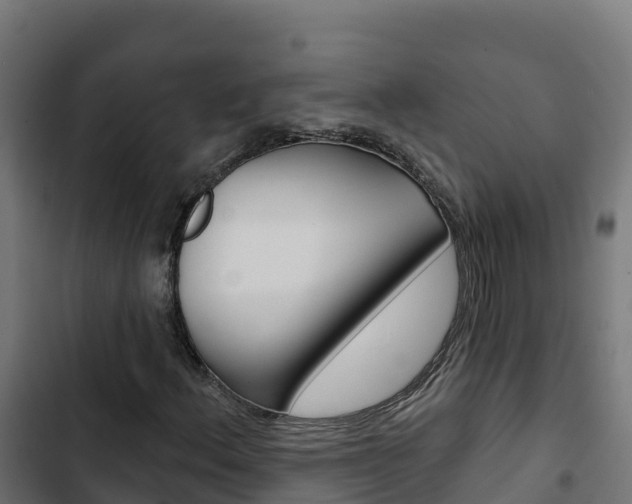 X0000103441156200809121054