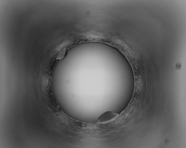 X0000103441157200809121054