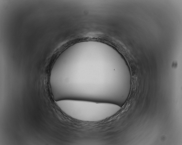X0000103441158200809121054