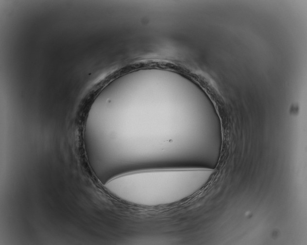 X0000103441159200809121054