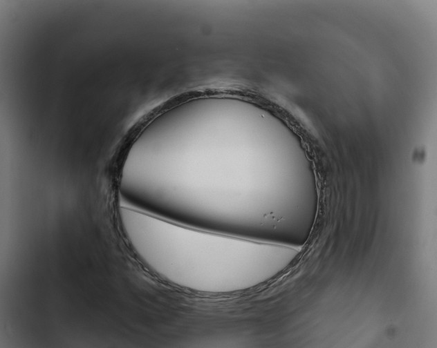 X0000103441160200809121054
