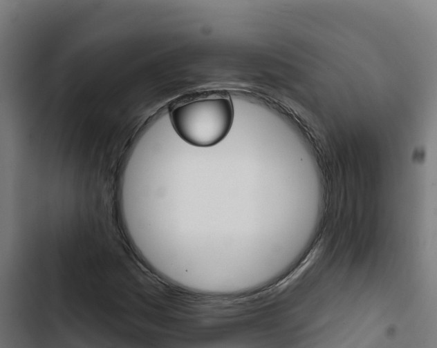 X0000103441161200809121054