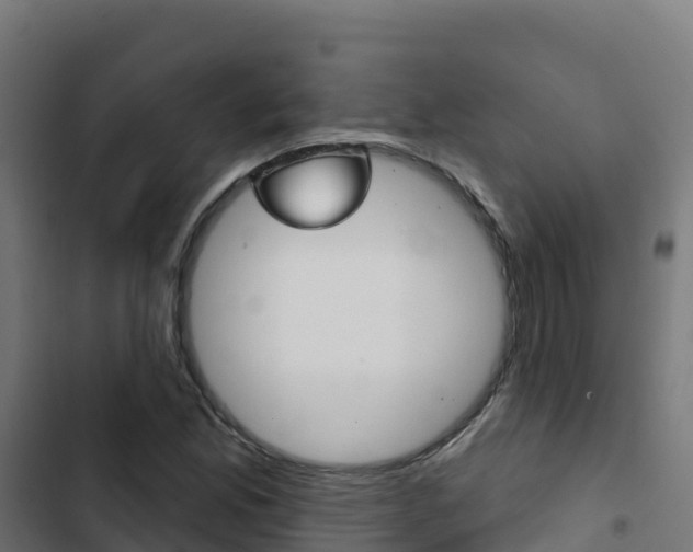 X0000103441165200809121054
