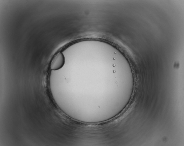 X0000103441166200809121054