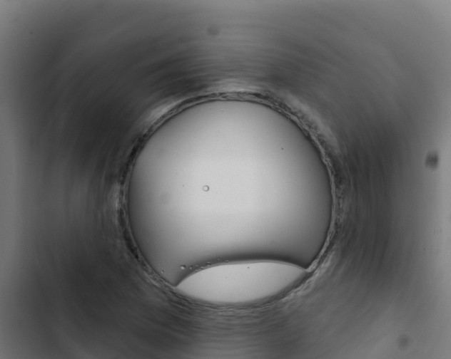 X0000103441169200809121054