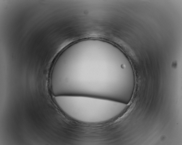X0000103441170200809121054