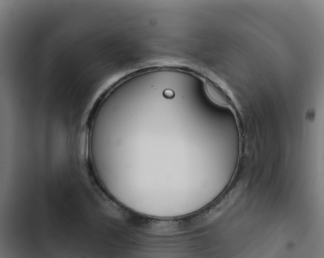 X0000103441171200809121054