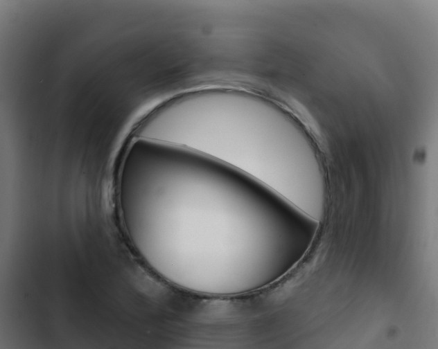X0000103441172200809121054