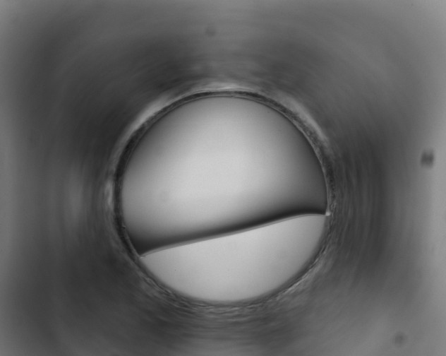 X0000103441173200809121054
