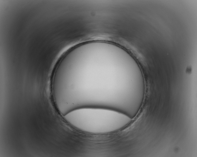 X0000103441174200809121054