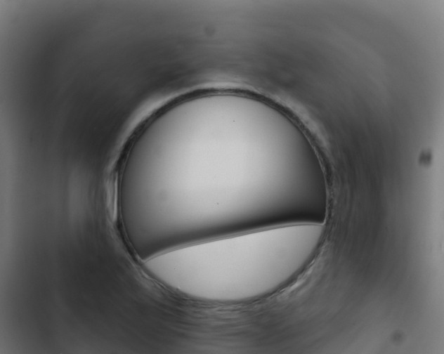 X0000103441175200809121054