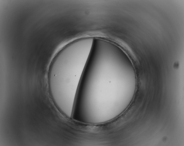 X0000103441176200809121054