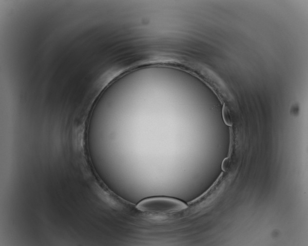 X0000103441177200809121054