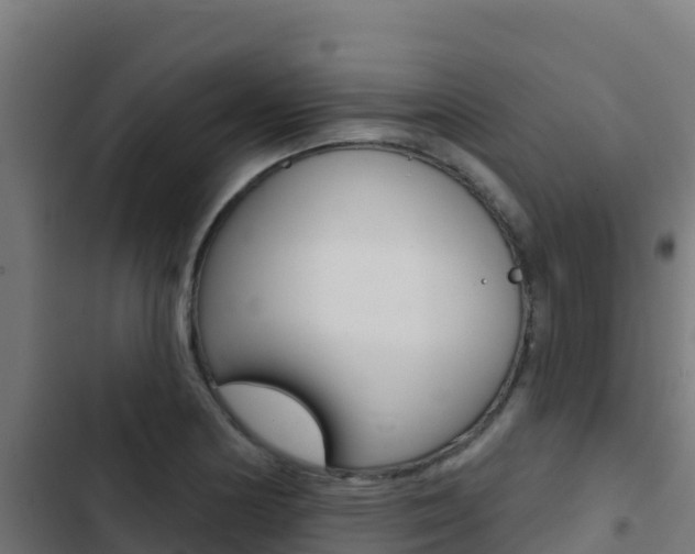 X0000103441178200809121054