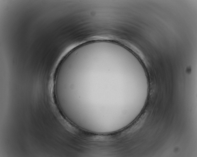 X0000103441179200809121053