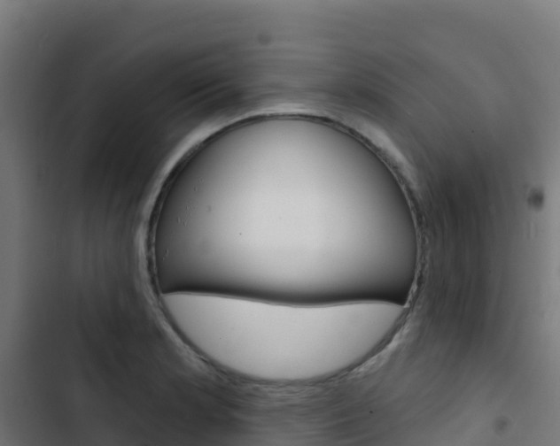 X0000103441181200809121053