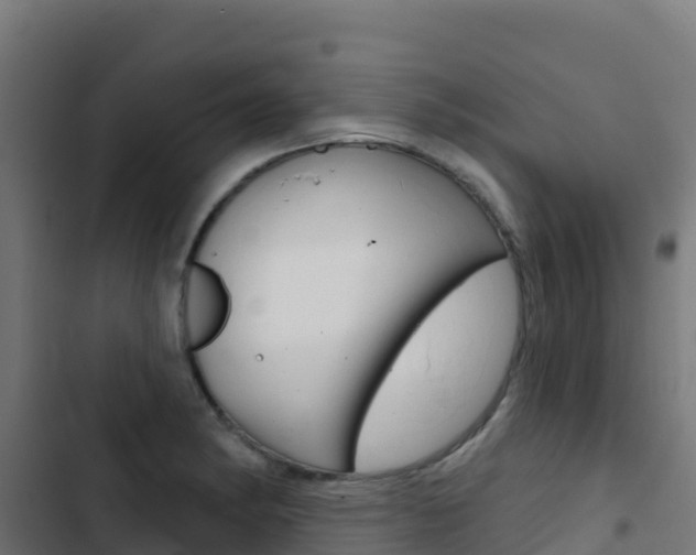 X0000103441182200809121053