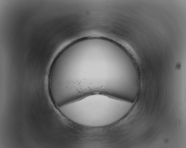 X0000103441183200809121053