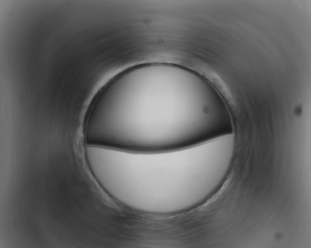 X0000103441184200809121053