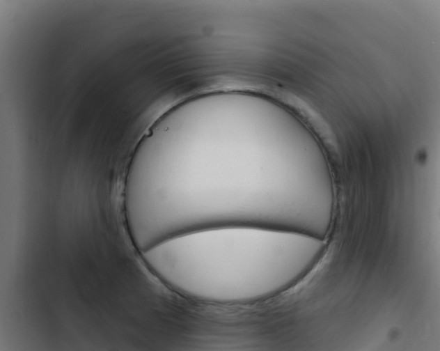 X0000103441185200809121053