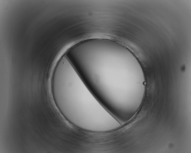 X0000103441188200809121053