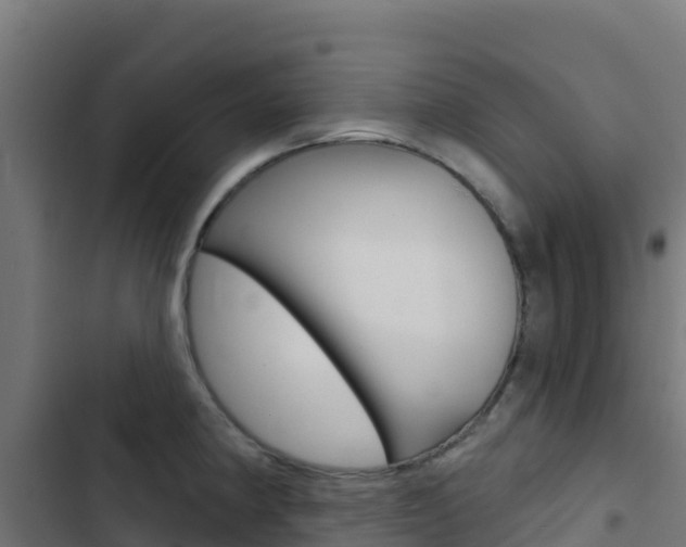 X0000103441190200809121053