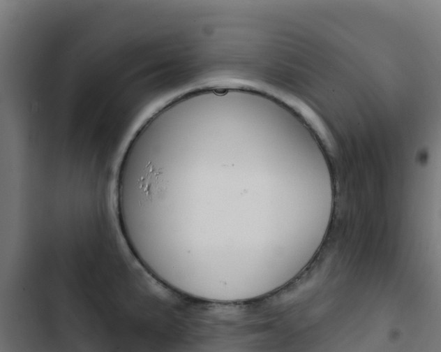 X0000103441191200809121053