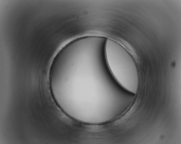 X0000103441192200809121053