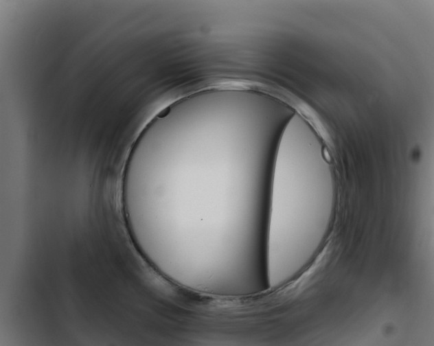 X0000103441194200809121053