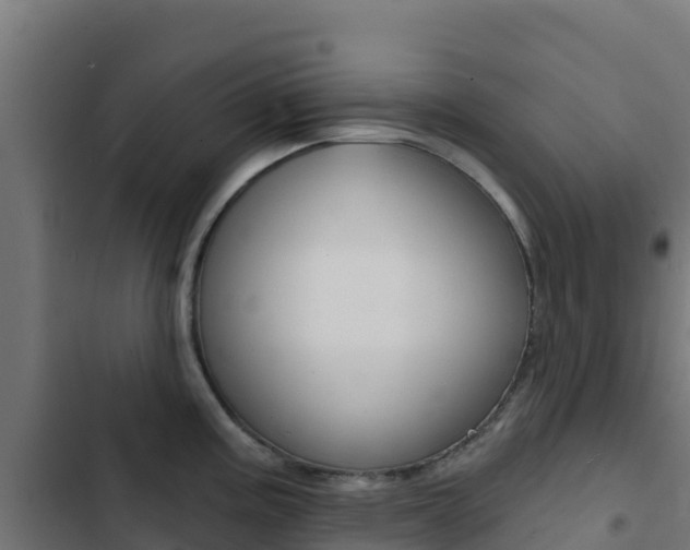 X0000103441195200809121053