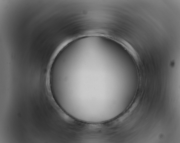 X0000103441196200809121053