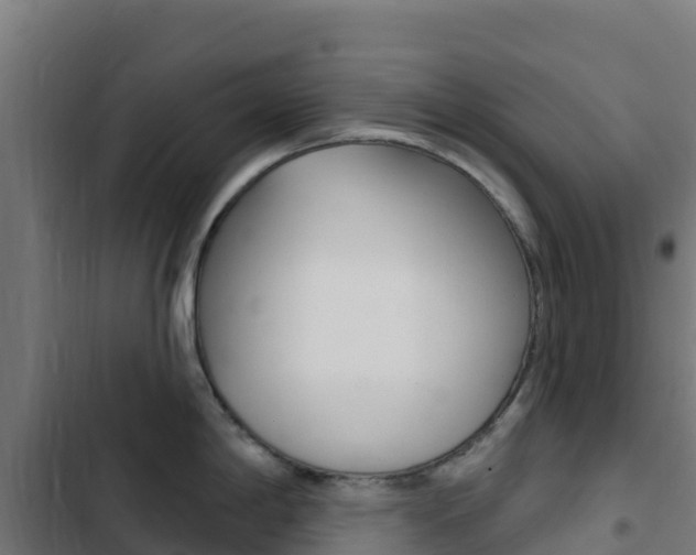 X0000103441198200809121053