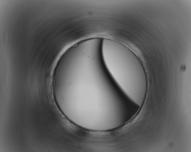 X0000103441200200809121053