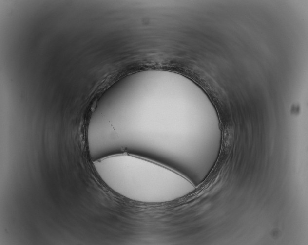 X0000103441202200809121053