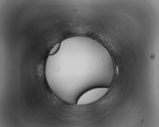 X0000103441203200809121053