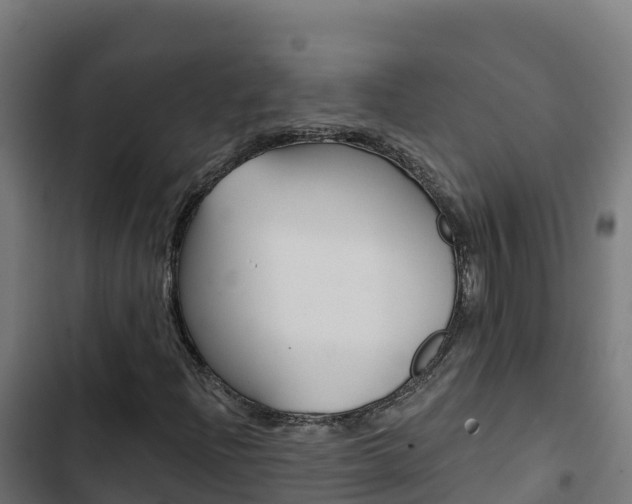 X0000103441204200809121053