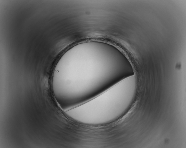 X0000103441209200809121053