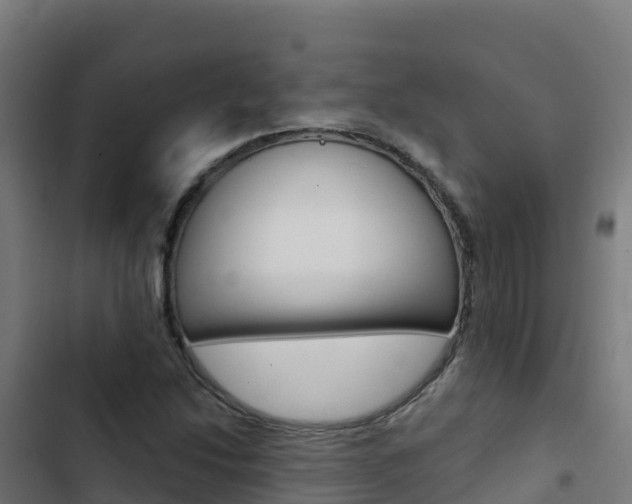 X0000103441214200809121053