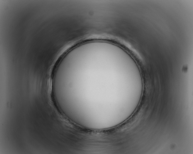 X0000103441221200809121053