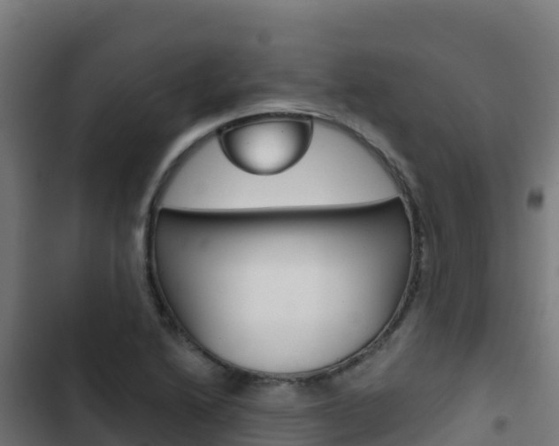 X0000103441222200809121053