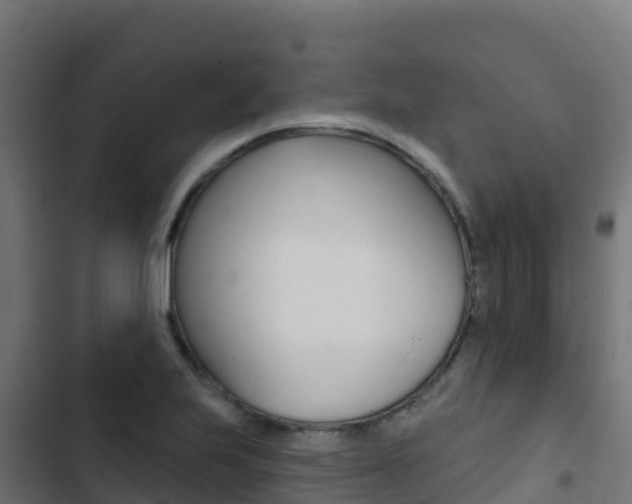 X0000103441223200809121053