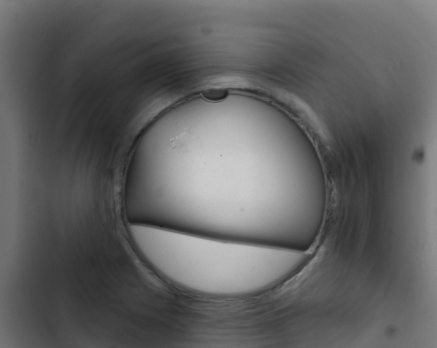 X0000103441225200809121053