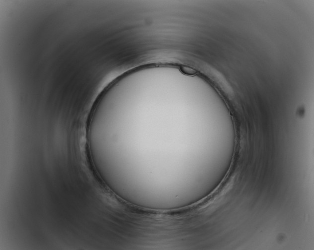 X0000103441226200809121053