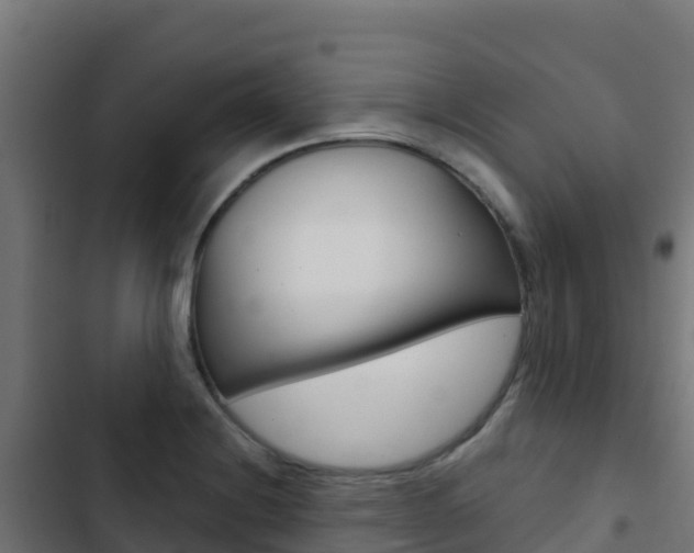 X0000103441228200809121053