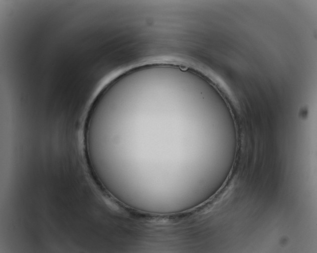 X0000103441230200809121053