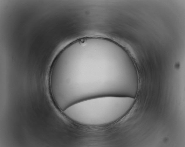X0000103441231200809121053
