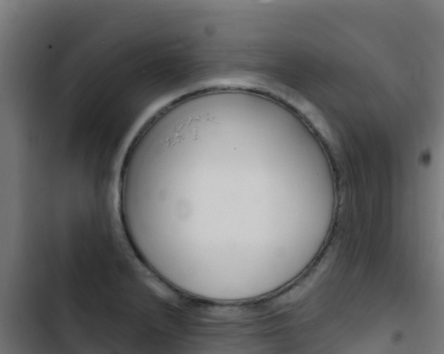 X0000103441232200809121053