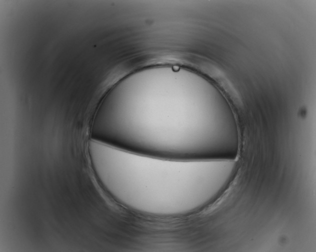 X0000103441233200809121053